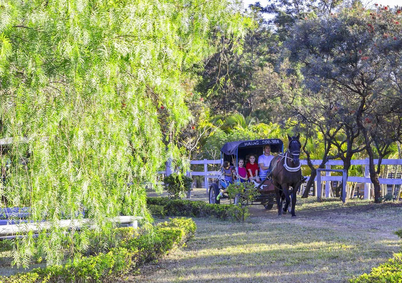 Brotas Eco Hotel Fazenda Exterior photo